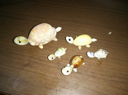 18日・釣りからのカメ!