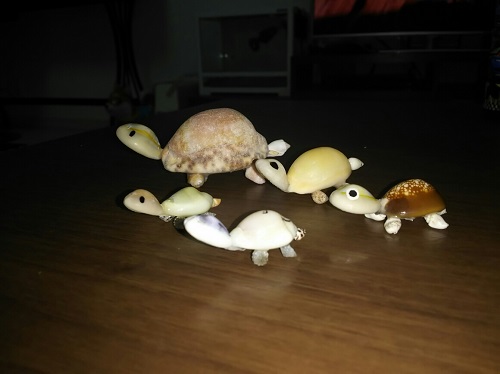 18日・釣りからのカメ!