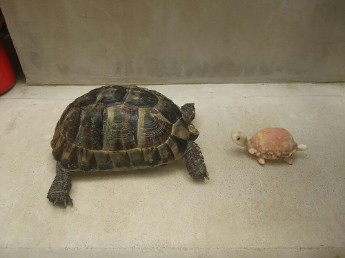 19日・外部シャワーが出来ました!