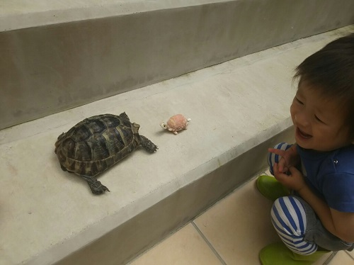 19日・外部シャワーが出来ました!