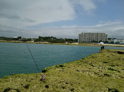 20日・ラストピーカンは坊主!