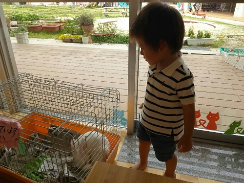 20日・ラストピーカンは坊主!