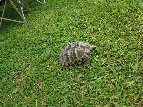 23日・県総合運動公園でデイキャンプ!