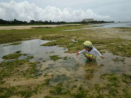 24日・アリビラの海にて