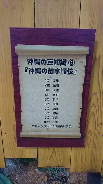 14日・キャンカー旅行Aオキフルと琉球村!