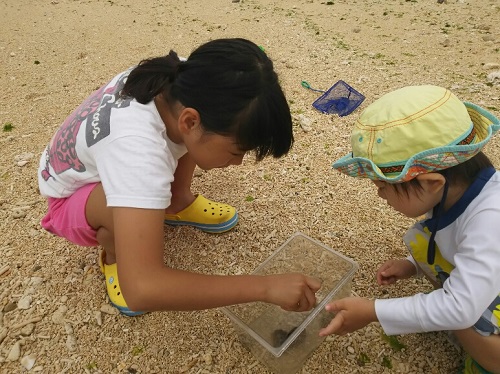 24日・アリビラの海にて