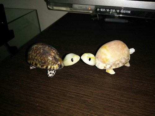 26日・レオバンクスにエアコンを積みました!