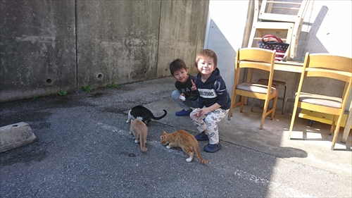 14日・キャンカー旅行Aオキフルと琉球村!