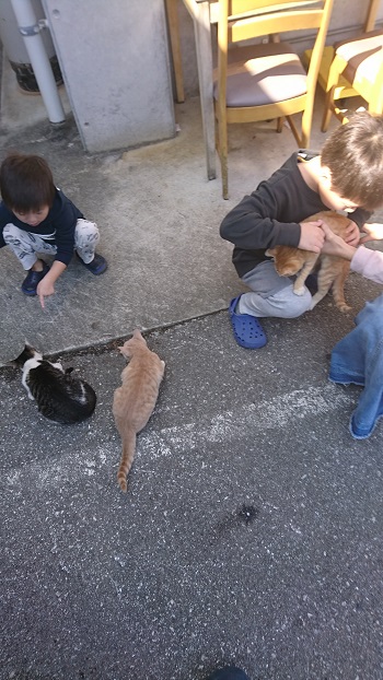 14日・キャンカー旅行Aオキフルと琉球村!