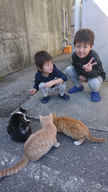 14日・キャンカー旅行Aオキフルと琉球村!