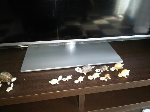 26日・レオバンクスにエアコンを積みました!