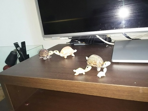 26日・レオバンクスにエアコンを積みました!