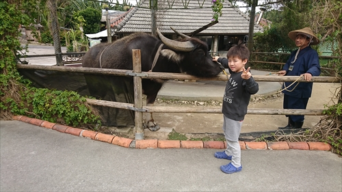 14日・キャンカー旅行Aオキフルと琉球村!