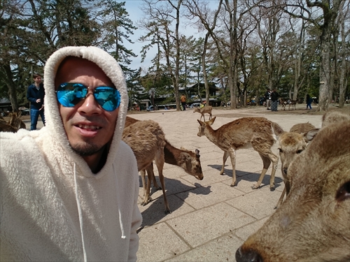 12日・大阪2日目!奈良公園からの新世界デート!