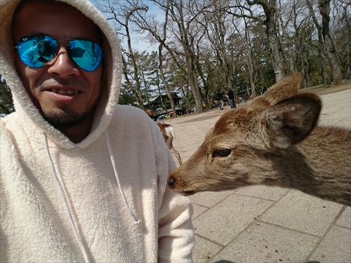 12日・大阪2日目!奈良公園からの新世界デート!