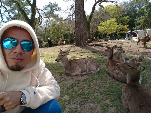 12日・大阪2日目!奈良公園からの新世界デート!