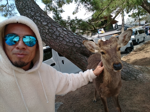 12日・大阪2日目!奈良公園からの新世界デート!