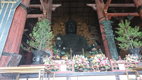 12日・大阪2日目!奈良公園からの新世界デート!