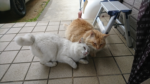 17日・授業参観からの大阪!