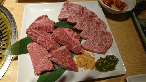 14日・大阪4日目!グラジエーター009いざ決戦!