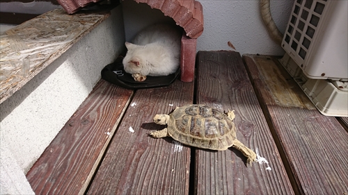 17日・キャンカーにエアコンを積みました!