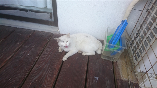 15日・パーソナルジムのHPを作成!