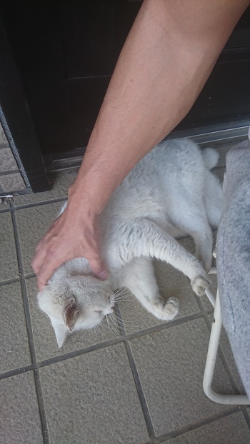 15日・パーソナルジムのHPを作成!