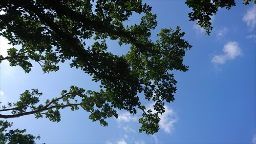 17日・県総合運動公園オートキャンプ場に泊まり来ました!