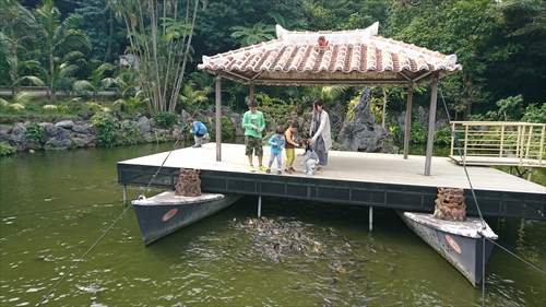 24日・沖縄満喫プラン!