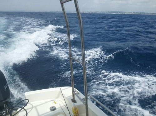 1日・マリーナが居心地良い!