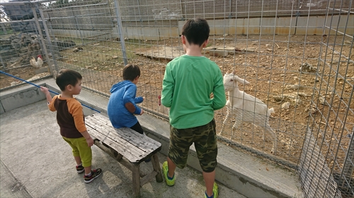 24日・沖縄満喫プラン!