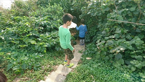 24日・沖縄満喫プラン!