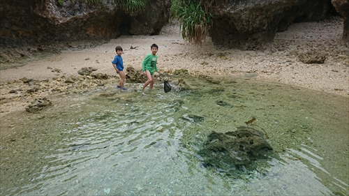 24日・沖縄満喫プラン!