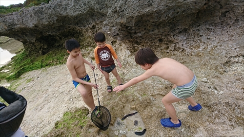 24日・沖縄満喫プラン!