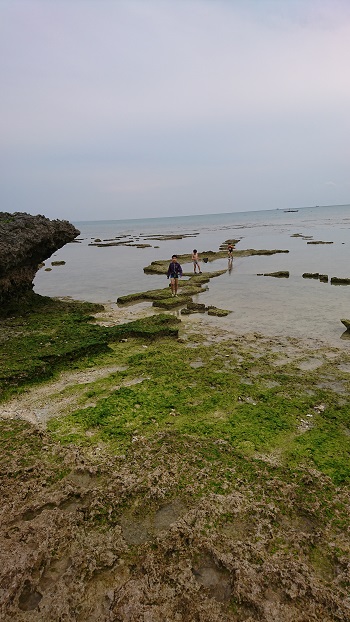 24日・沖縄満喫プラン!