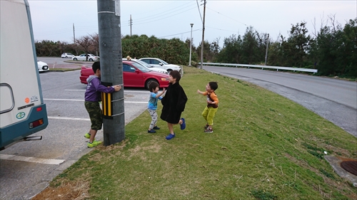24日・沖縄満喫プラン!