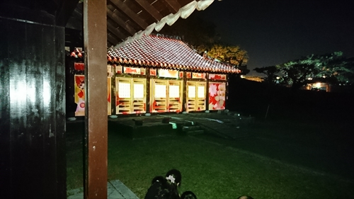 24日・沖縄満喫プラン!