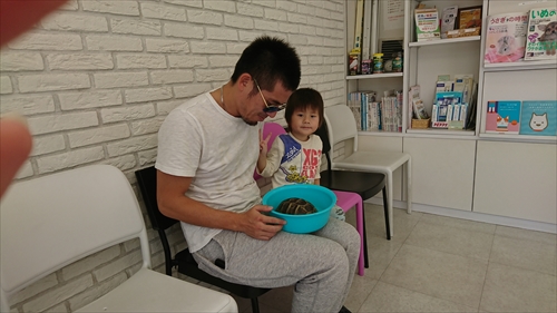 1日・瀕死のキャンディ・・・