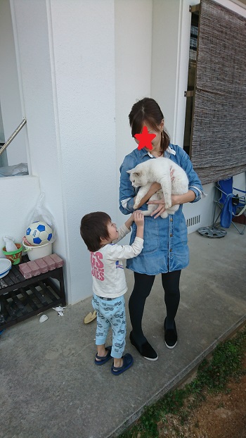 2日・ニャーコのグミ!