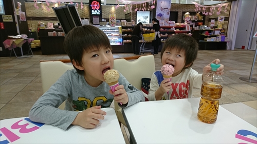 2日・ニャーコのグミ!