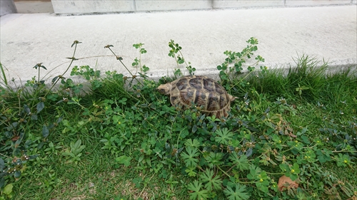 4日・TENKAICHI189!