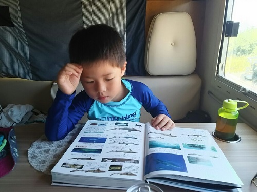 23日・残波の海でシガヤーダコ!