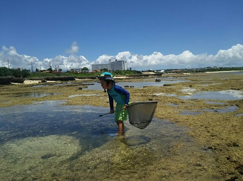 23日・残波の海でシガヤーダコ!