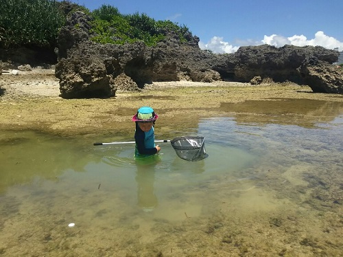23日・残波の海でシガヤーダコ!