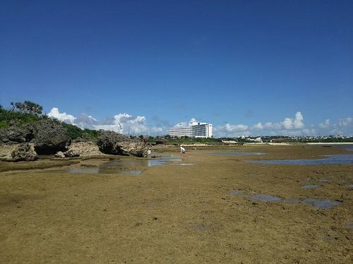 23日・残波の海でシガヤーダコ!