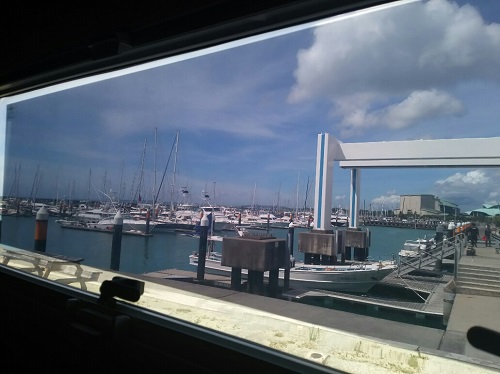 24日・沖釣りキャンセル!