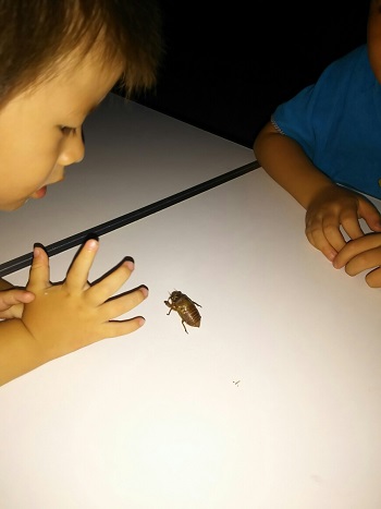 25日・11時間耐久デイキャンプ!