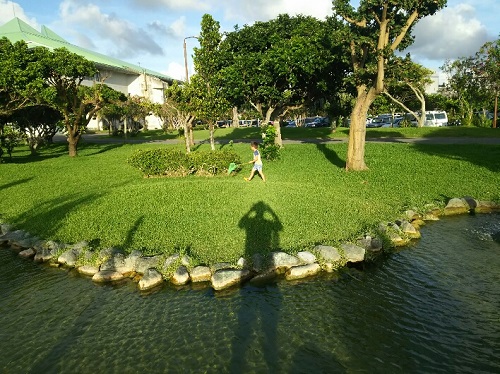 1日・毎日公園三昧!