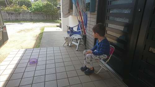 13日・庭デート!