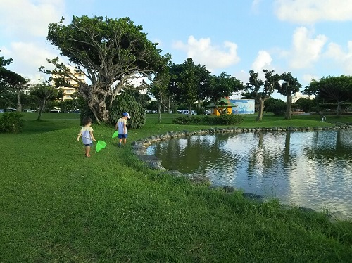 2日・ディアマンテス25周年野外ライブに!